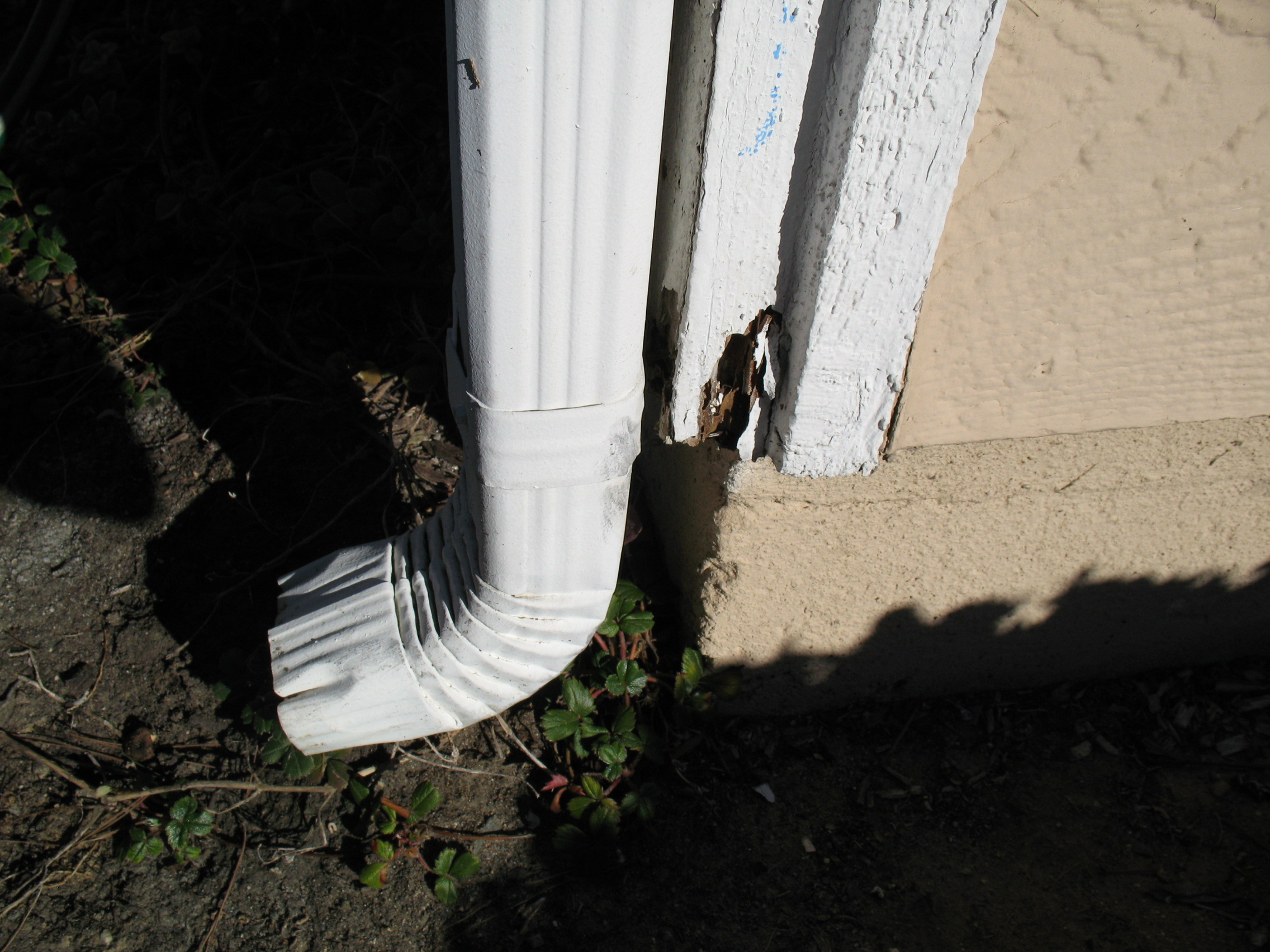 Siding Trim And Roof Overhang Termite Damage Pictures